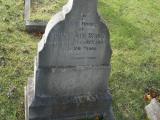 image of grave number 50646